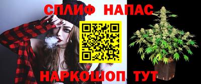 сатива Кумертау