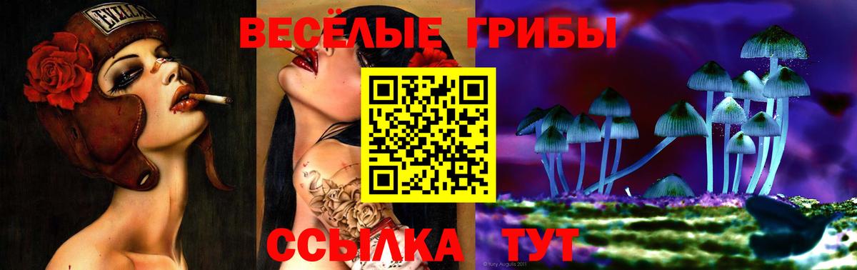 Калач-на-Дону  Псилоцибиновые грибы Psilocybine cubensis  Вход с VPN 